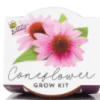 Buzzy Seed Toys Coneflower Mini Grow Kit