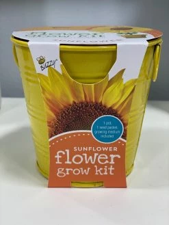 Buzzy Seed Sunflowe Grow Pail