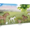 PLAYMOBIL Toys Ponies With Foals