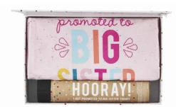 Mudpie Accessories Pink Promoted Sibling Gift Set (2T-5T) Baby Accessories