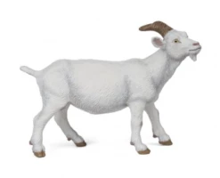 Hotaling Imports White Nanny Goat