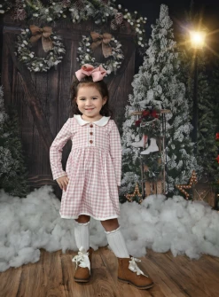 Serendipity/Swoon Baby 22 Pink Gingham Proper Bliss Dress New Arrivals