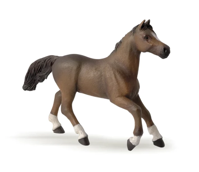 Best deal ๐ Hotaling Imports Anglo-Arab Mare Toys โจ 1 Hotaling Imports Anglo-Arab Mare Toys