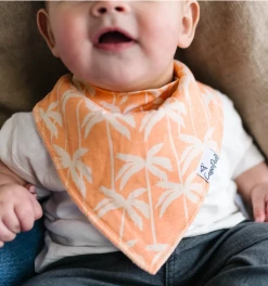 Copper Pearl Baby Accessories CP Bruno 4pk Bib Set