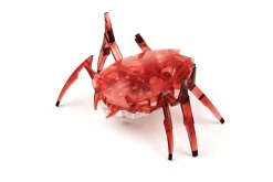 Toys Hexbug Scarab/Beetle
