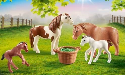 PLAYMOBIL Toys Ponies With Foals
