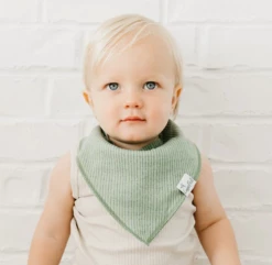 Baby Registry CP Peanut Bandana Bib Set