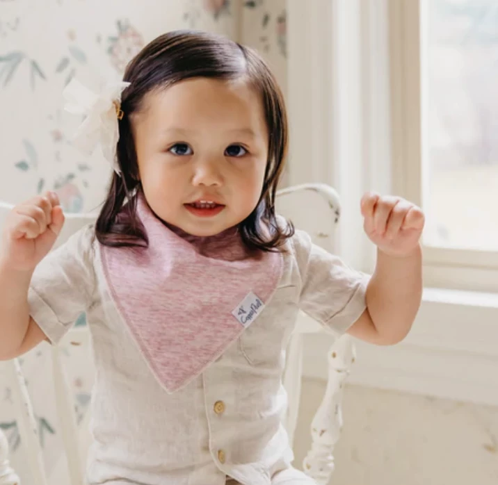 Promo 🎁 Baby Registry CP Lacie Bandana Bibs 🔥 2 Baby Registry CP Lacie Bandana Bibs