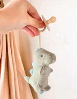 Baby Registry Bitzy Pal Dino Pacifier & Stuffed Animal