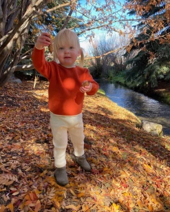 Me & Henry/Ettie & H Fall Pumpkin/Ivory Knit Penryn Sweater