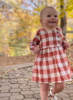 Me & Henry/Ettie & H Fall Rust Plaid Elowen Dress New Arrivals