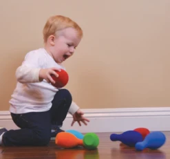 DJeco Let's Go Bowling Set Toys