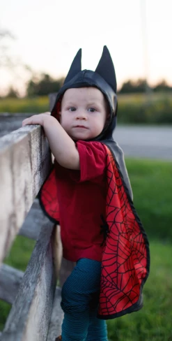 GREAT PRETENDERS BABY REVERSIBLE SPIDER BAT CAPE Toys