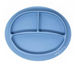 Baby Registry BB Silicone Suction Plate