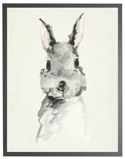 Best deal โ๏ธ Antique Curiosities Decor Baby Rabbit In Grey Frame ๐งจ 1 Antique Curiosities Decor Baby Rabbit In Grey Frame