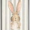 Antique Curiosities Baby Rabbit In Grey Frame A