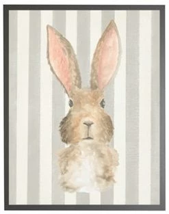 Antique Curiosities Baby Rabbit In Grey Frame A
